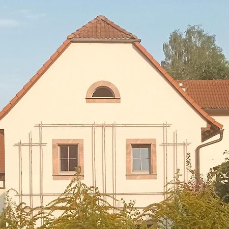 Appartamento Biohof Buschmuehle Konigsfeld  Esterno foto