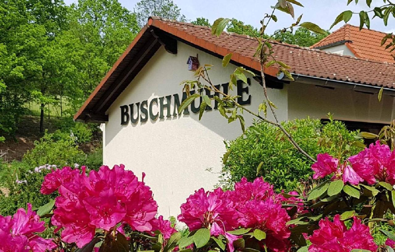 Appartamento Biohof Buschmuehle Konigsfeld  Esterno foto