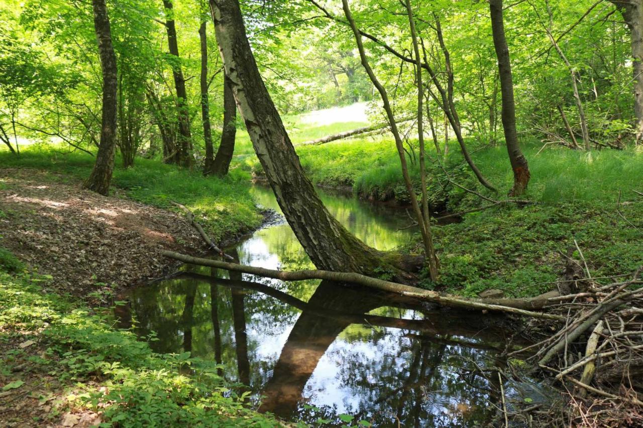 Appartamento Biohof Buschmuehle Konigsfeld  Esterno foto